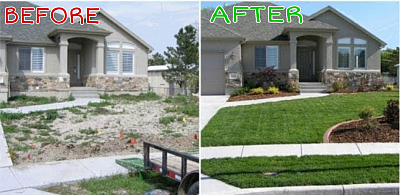 Complete landscaping, sod services & planting in Mt. Pleasant, Isle Of Palms, Sullivan's Island and Daniels Island